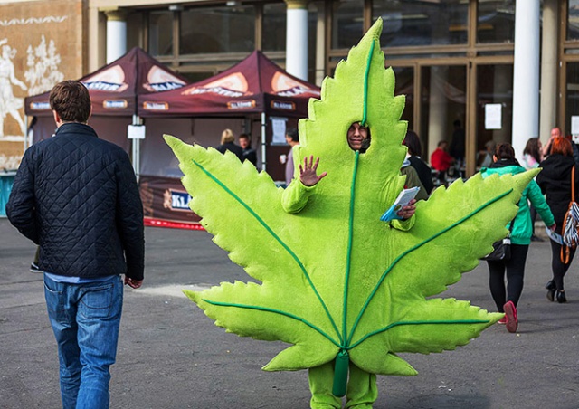 В Праге стартовал фестиваль конопли Cannafest