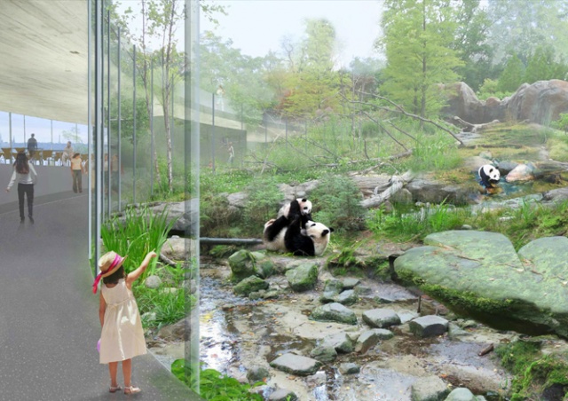Пражский зоопарк показал, как будут выглядеть павильоны панд и белых медведей