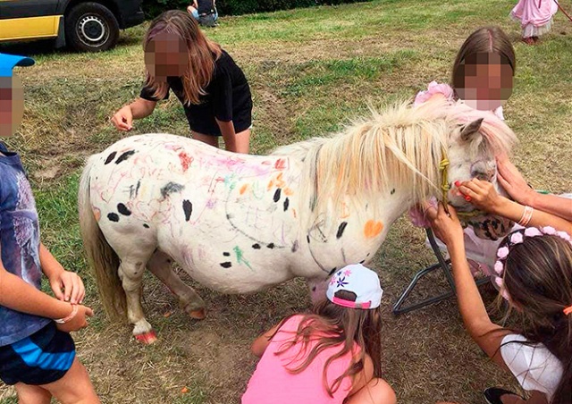 Чешский парк развлечений извинился за рисование на пони
