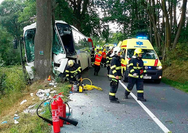 В Чехии автобус врезался в дерево: 11 пострадавших