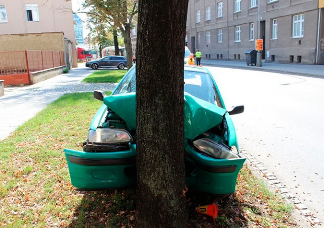 В Чехии пенсионерка разбила машину, пытаясь «спасти» бурчак
