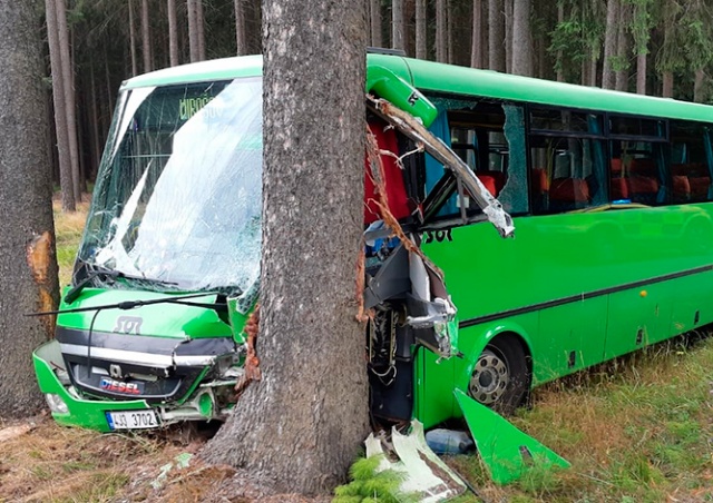 В Чехии разбился рейсовый автобус: 14 пострадавших