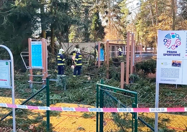 В Праге поваленное ветром дерево упало на детей
