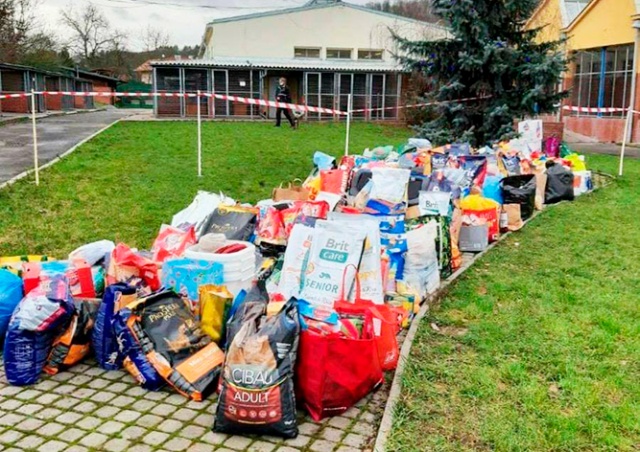 Пражане подарили бездомным собакам на Рождество три тонны корма