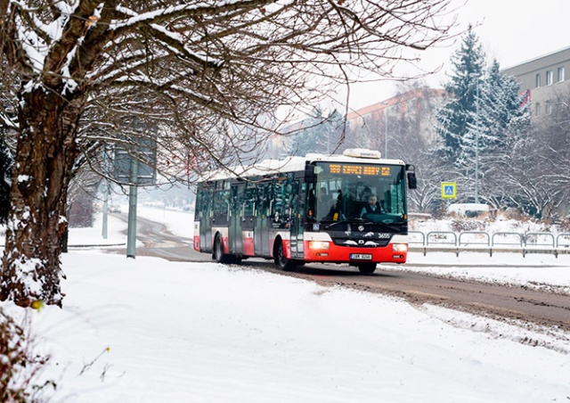 Чехию засыпало снегом: видео