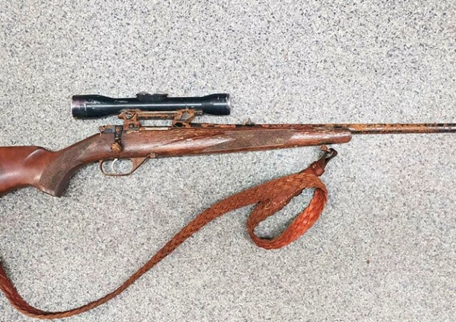 В Чехии нашли винтовку, отобранную оленем у охотника