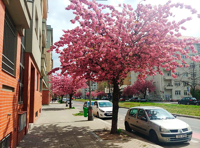 В Чехию идет потепление до 27°C