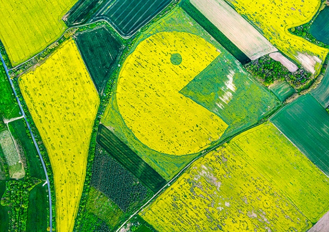 «Сожрал дотации»: в Чехии активисты нарисовали Пакмана в поле компании Agrofert