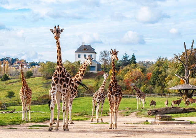 Посетительница завещала Пражскому зоопарку 17 млн крон