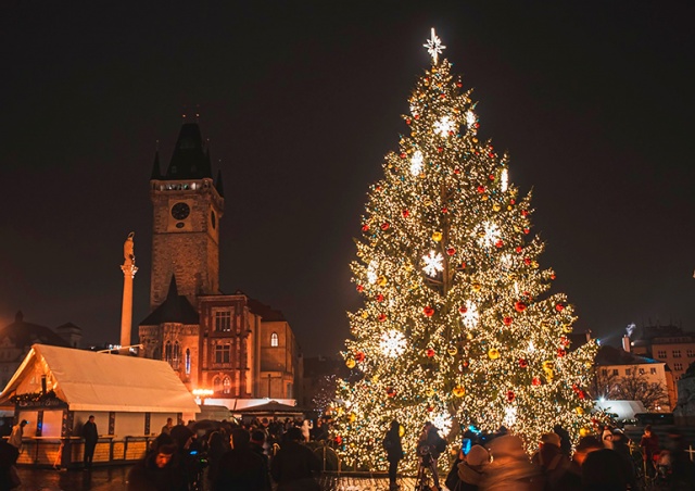 Рождественская ёлка Праги послужит добру и после праздников