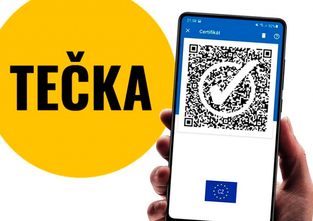В мобильном приложении Tečka произошел сбой