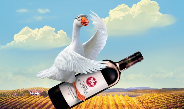 В Чехии выбрали святомартинские вина 2021 года