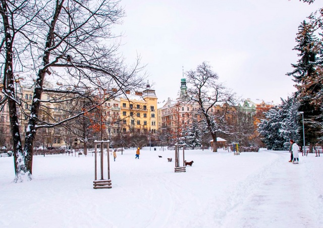 Синоптики предупредили жителей Чехии о снегопаде и гололедице