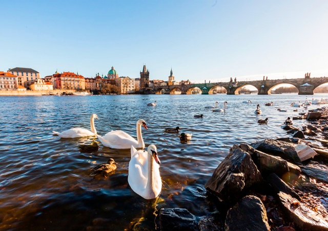 Синоптики пообещали жителям Чехии солнечные выходные