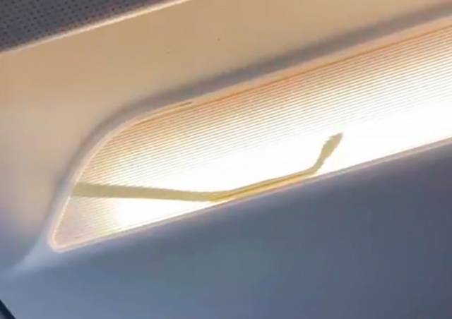 Пассажирский самолет экстренно посадили из-за змеи в салоне