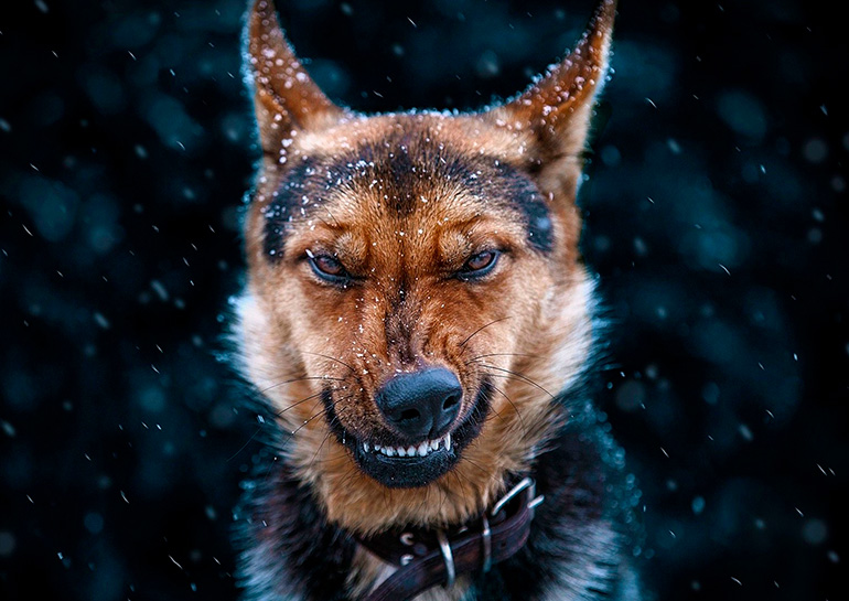 Иллюстративный снимок