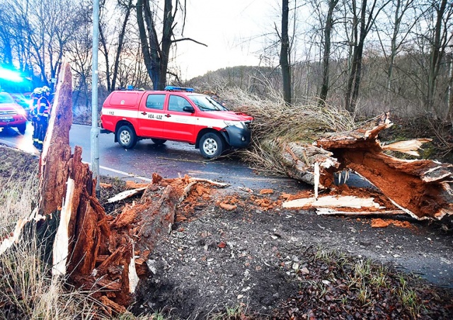 На Чехию обрушился штормовой ветер: 300 тыс. семей без электроэнергии