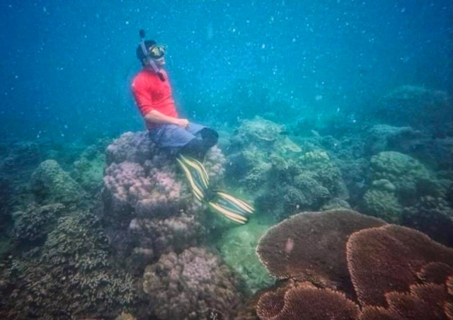 Туристу грозит 10 лет тюрьмы за фото на коралловом рифе в Таиланде
