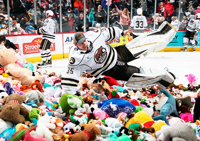 Хоккейные фанаты выбросили на лед 52 тыс. плюшевых медведей: видео
