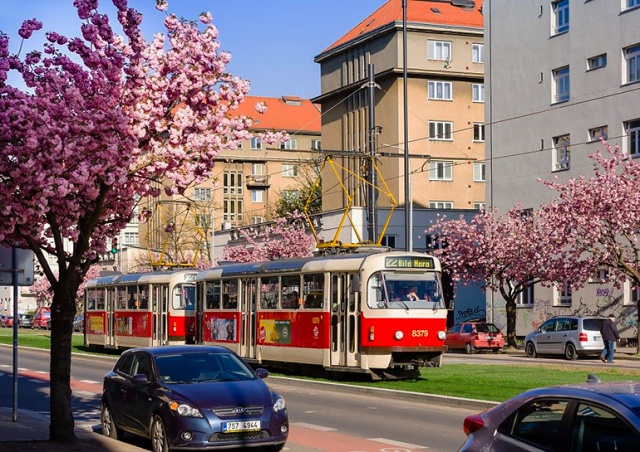 В Чехии отменили масочный режим в общественном транспорте