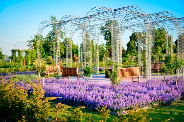 В Чехии пройдет «Уикенд открытых садов»