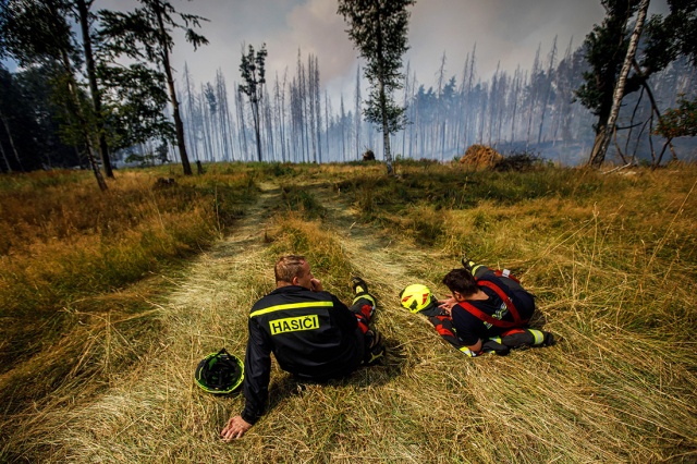 Пожарным с огромным трудом удалось сберечь поселки в «Чешской Швейцарии»: фото и видео