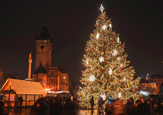 Прага объявила награду за помощь в поисках главной рождественской ёлки