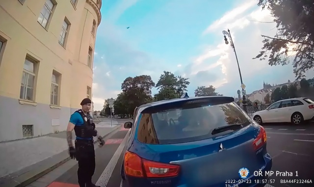 В Праге полицейские вытащили собаку из оставленной на жаре машины: видео