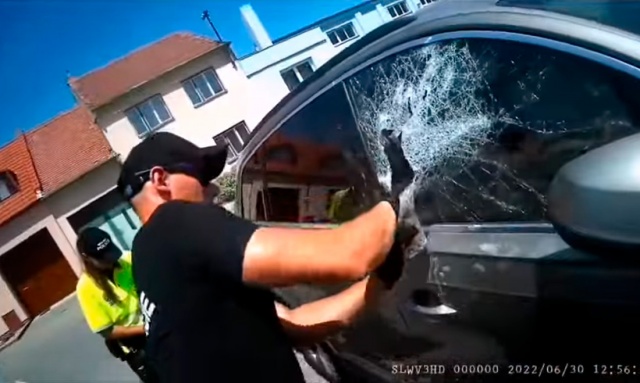 В Чехии полицейские разбили окно запертой машины, чтобы спасти младенца: видео