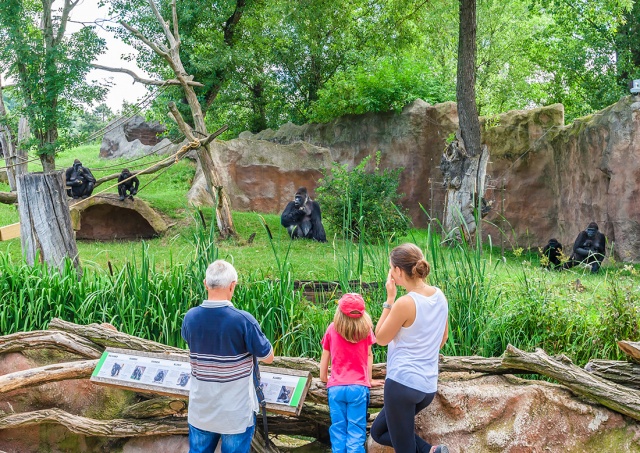 Сегодня Пражский зоопарк открыт для детей бесплатно