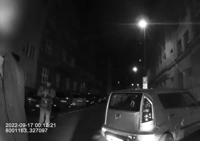 В Праге пьяный водитель предлагал взятку полицейским: видео