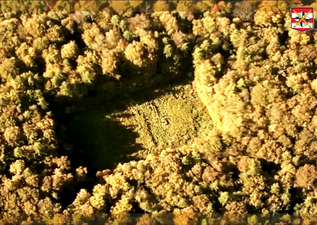 В Чехии полиция с воздуха обнаружила в лесу секретную плантацию конопли: видео