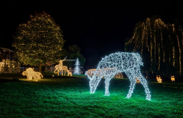 В Праге открылся второй парк рождественских световых инсталляций