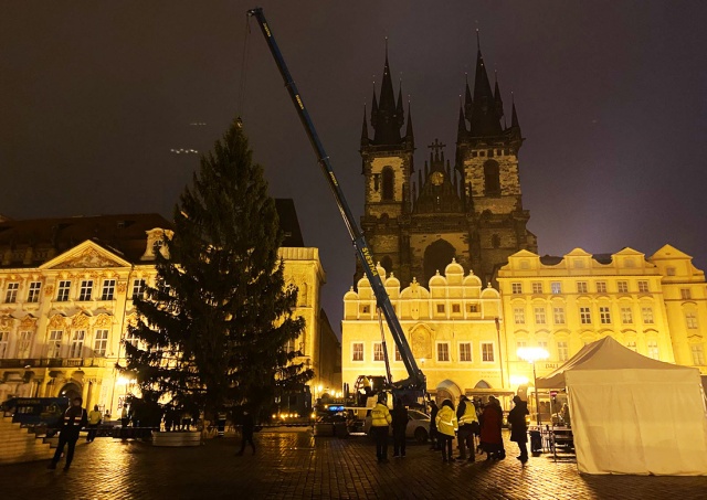 На Староместской площади Праги установили рождественскую ёлку