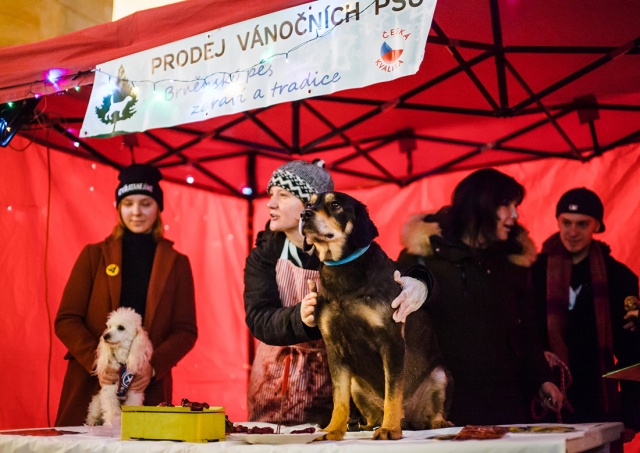 В Чехии зоозащитники предложили прохожим убить собаку вместо карпа
