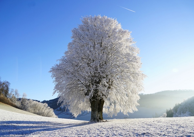 В Чехии зарегистрировали мороз в -25,8°C