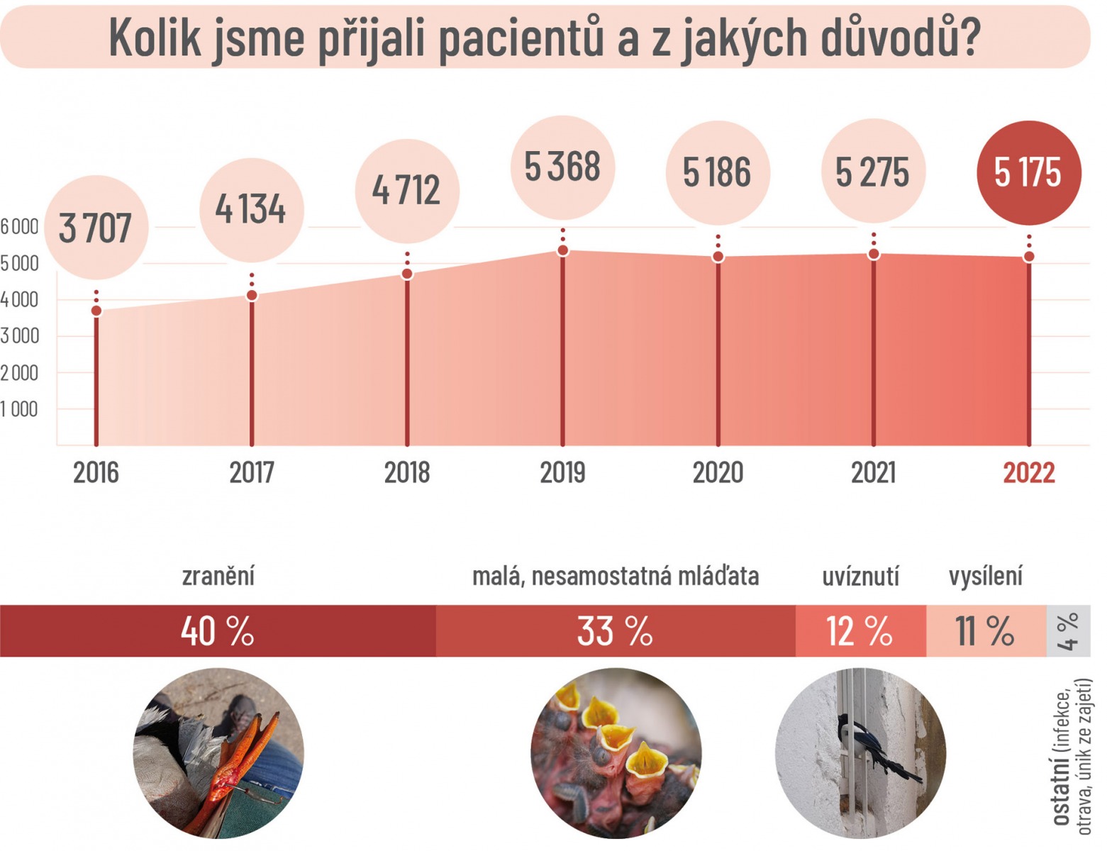 Дикая сколько по времени. Статистика. Статистика количества пользователей мессенджеров 2022. Сноуборд травмы статистика. Статистика зараженных бешенством животных за 2022 год.