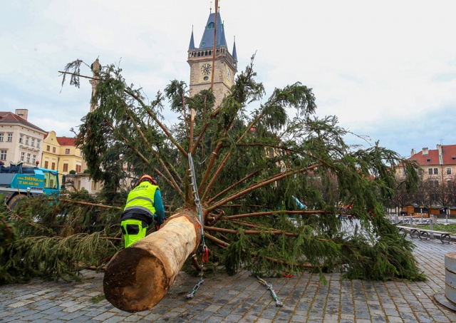 В Праге демонтировали главную рождественскую елку