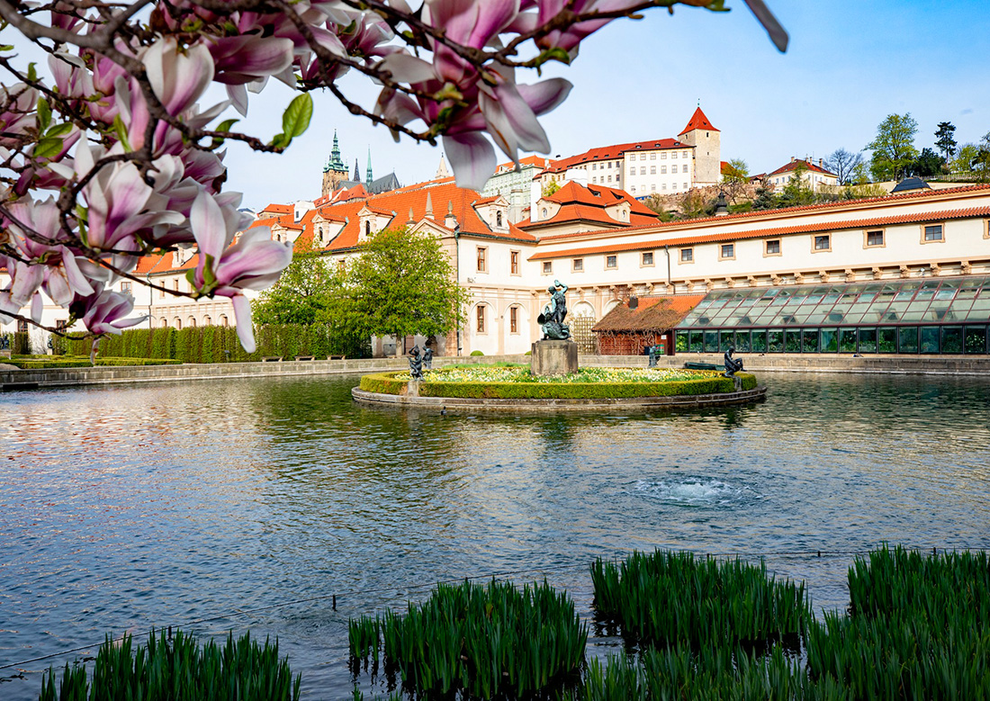 Источник фото: senat.cz