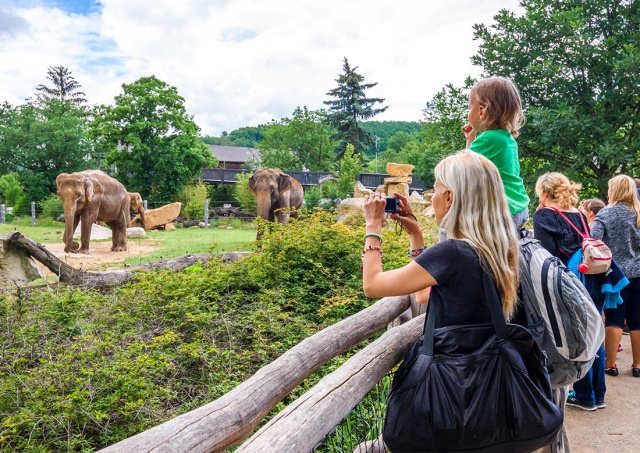 Пражский зоопарк назвал дни бесплатного входа для детей в 2023 году
