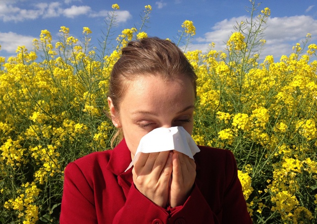 Жителей Чехии предупредили о высоком содержании пыльцы в воздухе