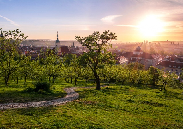Наконец-то весна: синоптики пообещали Чехии прекрасные выходные