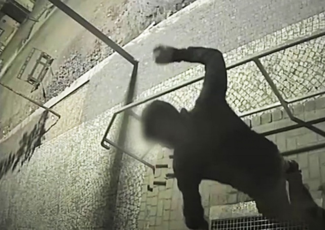 В Чехии пьяный иностранец «атаковал» полицейский участок: видео