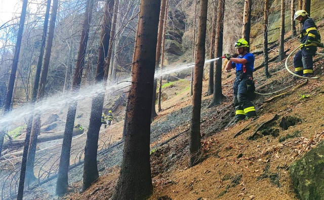 Идиотский поступок туристов привел к новому пожару в «Чешской Швейцарии»