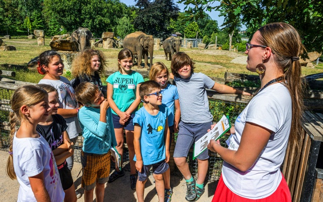 Сегодня дети могут бесплатно посетить Пражский зоопарк