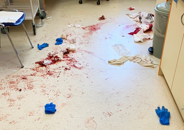 В Чехии вооруженный мачете мужчина устроил резню в больнице