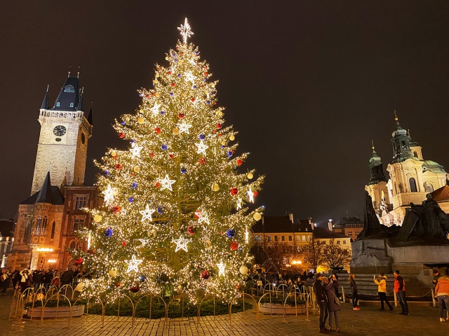 Прага продолжает искать рождественскую ёлку. За помощь – денежная премия