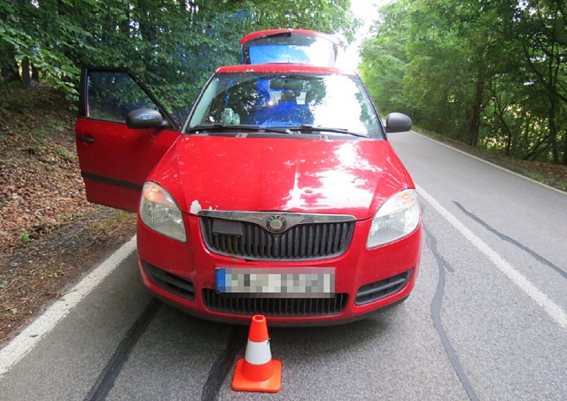 В Чехии пьяный водитель сам вызвал полицию после столкновения с косулей