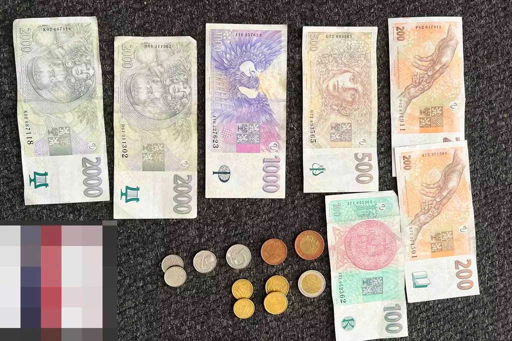 В Чехии воровка забыла в магазине кошелек и пришла за ним в полицию