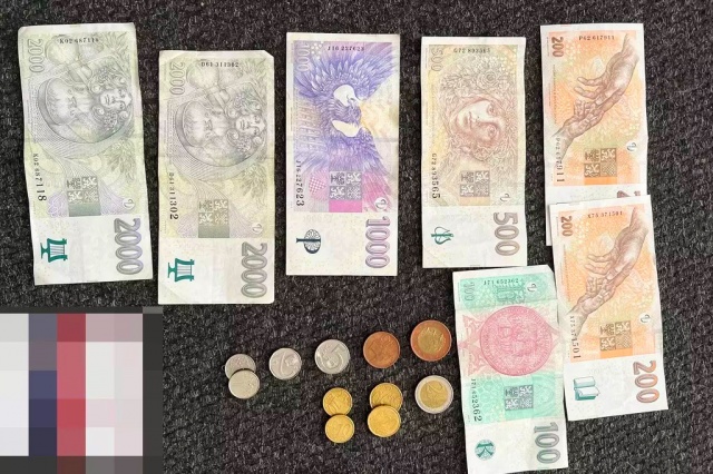В Чехии воровка забыла в магазине кошелек и пришла за ним в полицию